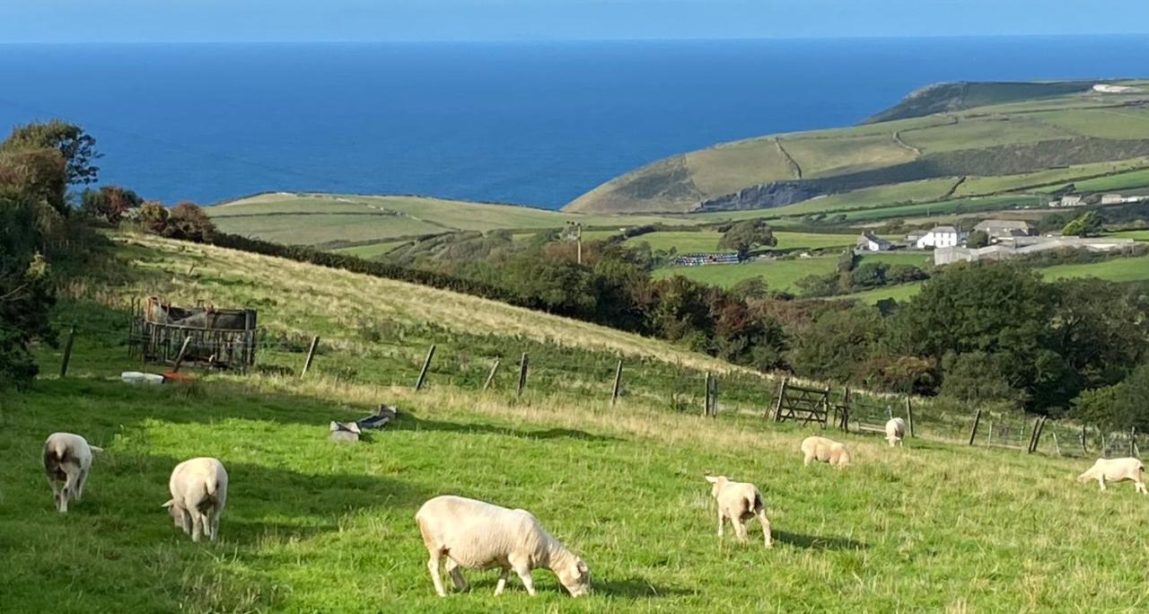 Polrunny Farm Sloe Cottage With A Sea View Boscastle Eksteriør bilde