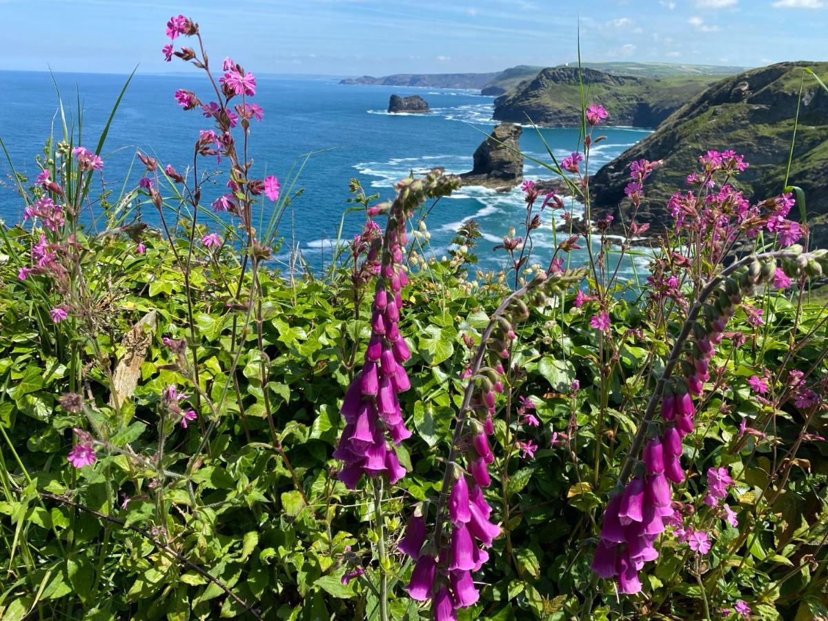 Polrunny Farm Sloe Cottage With A Sea View Boscastle Eksteriør bilde