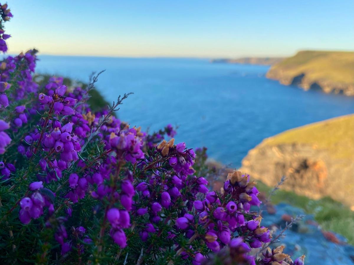 Polrunny Farm Sloe Cottage With A Sea View Boscastle Eksteriør bilde
