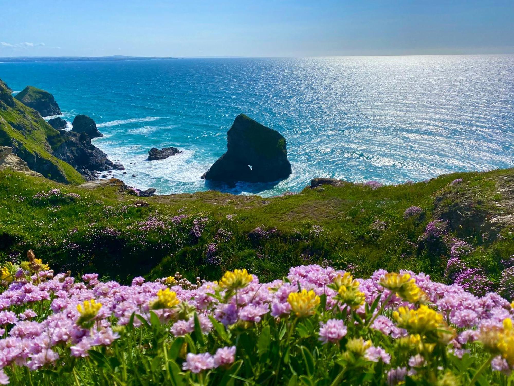 Polrunny Farm Sloe Cottage With A Sea View Boscastle Eksteriør bilde